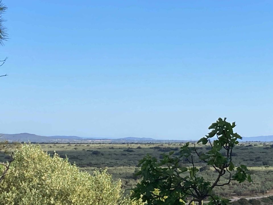 Herregård i El Perello, Tarragona - bilde 1